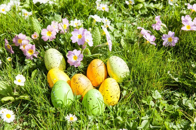 Farbige Ostereier in Blumen und Gras versteckt