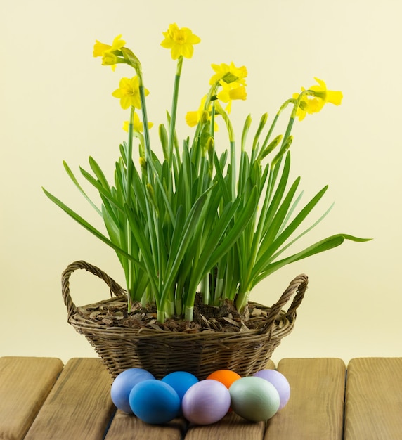 Farbige Ostereier mit einem Blumenstrauß aus Narzissen