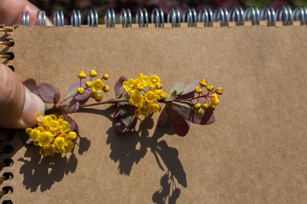 Farbige wilde Frühlingsblumen in einer Spirale ein Notizbuch