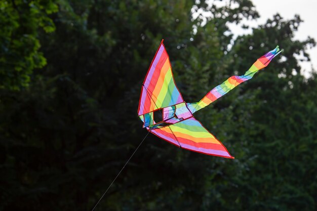 Farbiger fliegender Drachen fliegt vor dem Hintergrund von Bäumen. Freizeit und Erholung im Freien