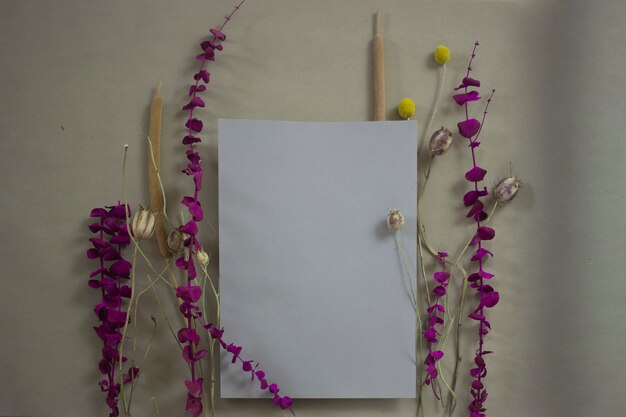 farbiger Hintergrund mit Blumen und Papier