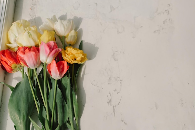 Farbiges Sortiment von Tulpen
