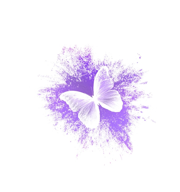 Farbspritzer mit Schmetterling auf weißem Hintergrund. Druck für den Designer