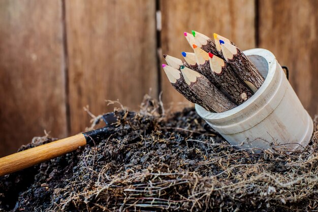 Farbstift aus Baum