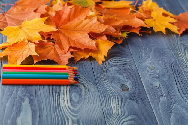 Farbstifte und Herbstblätter auf hölzernem Hintergrund