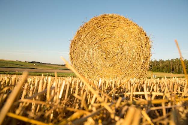 Fardo de feno em um campo colhido na alemanha.