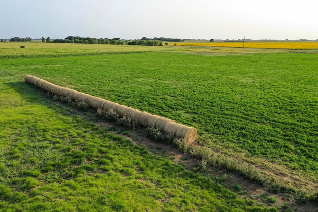 Fardo de grama na zona rural Província de Buenos Aires Argentina