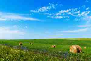 Foto fardos de feno na grama verde contra um céu azul