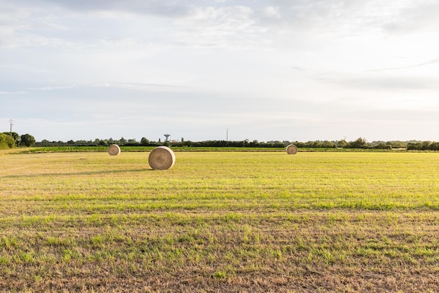 Fardos de feno no campo contra o céu