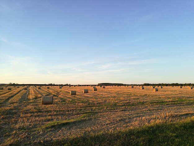 Fardos de feno no campo contra o céu