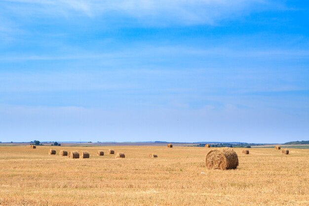 Foto fardos de palha esperando a coleta em um campo no outono, sob um céu azul nublado.