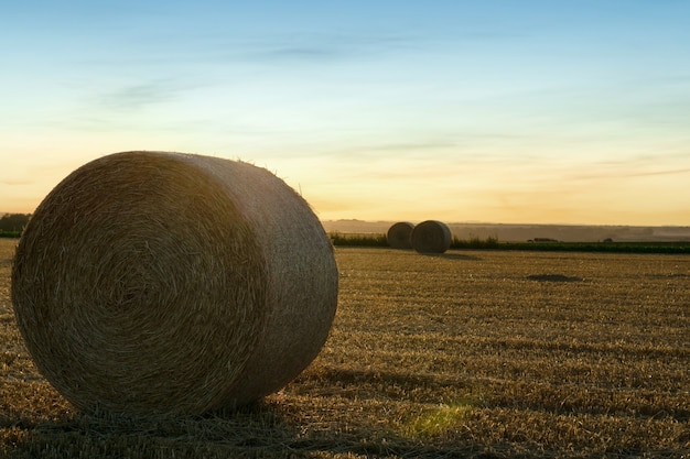 Fardos de paja apilados en un campo en verano