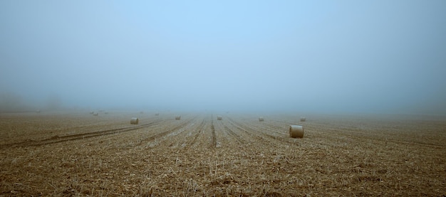 Fardos de paja en el campo de invierno