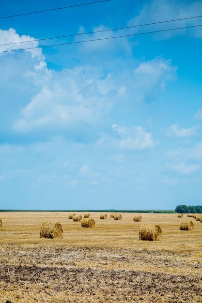 Fardos de paja en tierras de cultivo con cielo nublado azul