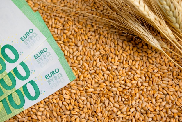 Farinha de caixa e crise do trigo preços recordes e altos preços para panificação aumento dos preços do trigo na europa devido