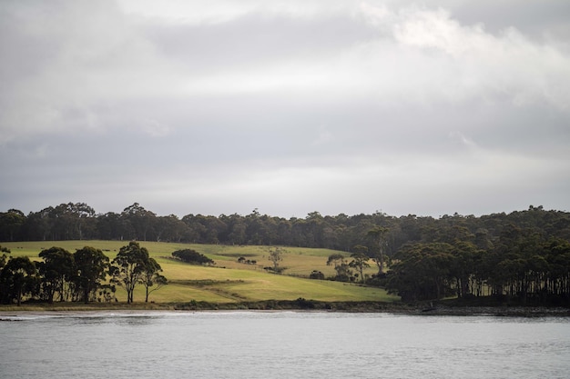 Farm an der Küste neben dem Ozean in Australien