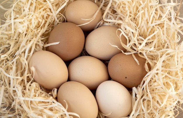 Farm Hühnerfarm Nest mit braunen Hühnereiern