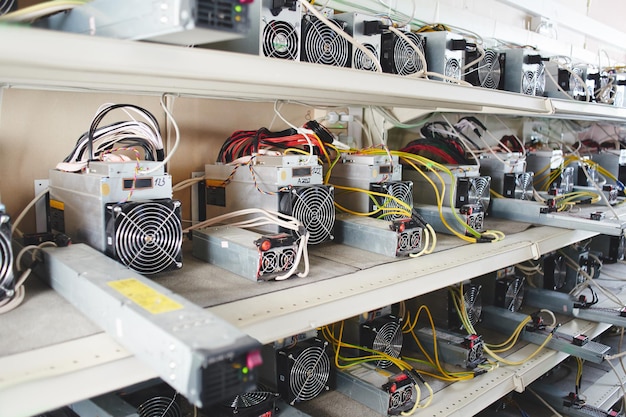 Farm mit Ausrüstung für Bitcoin-Kryptowährungs-Mining