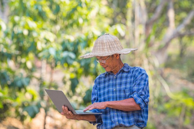 Farmer Asian mit Smartphone und Laptop