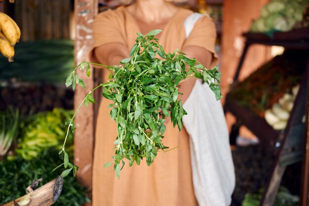 Farmer Hold Fresh Ponnanganni Keerai verde en la mano