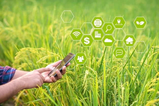 Foto farmer está trabajando en el campo con tecnología de innovación para el concepto de tecnología de la industria agrícola inteligente del sistema agrícola inteligente