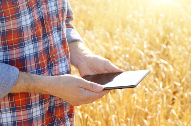 Farmer usa su tablet pc listo para cosechar campo de trigo
