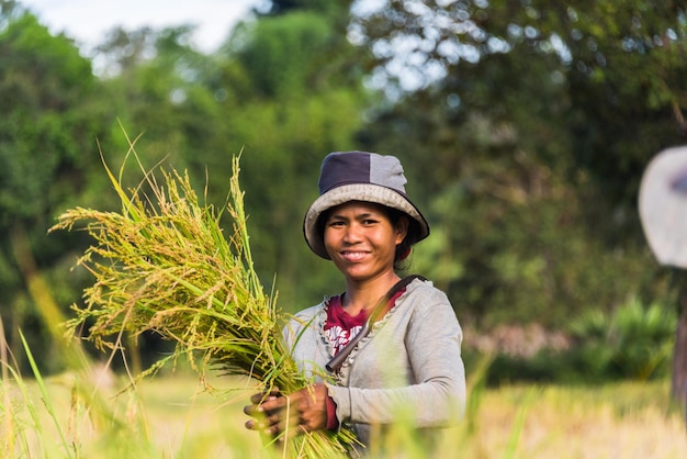 Farmer