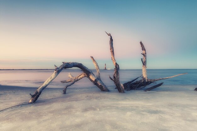 Foto faro de la isla de morris al atardecer