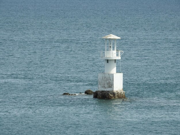 Foto faro nadando en el mar