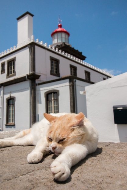 Faro de Ponta da Ferraria