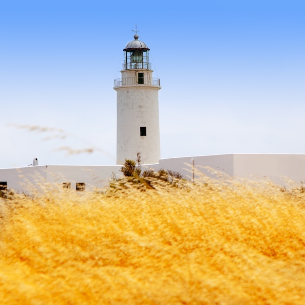 Farol de la mola em formentera com capim dourado