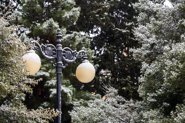 Farola cubierta de nieve