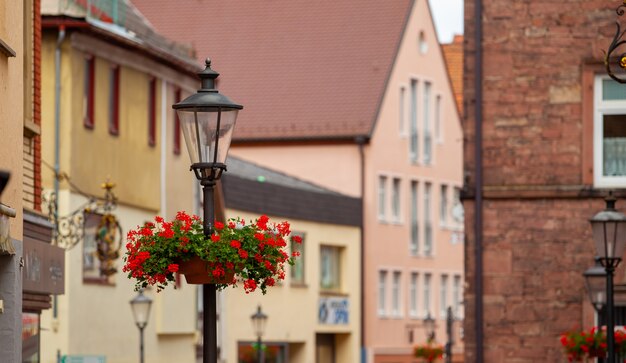 Farola con flores en la calle