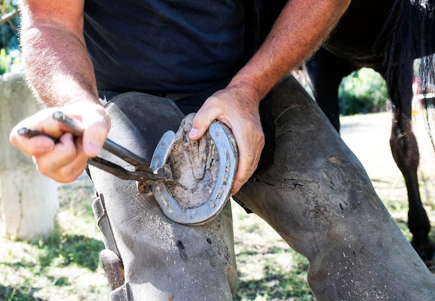 Farrier trabalha em um campo