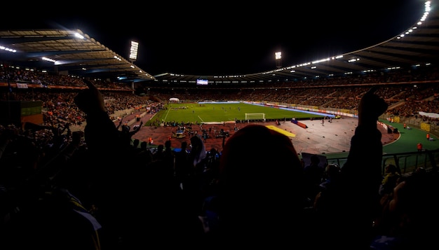 Foto fãs de futebol apoiam seu time favorito