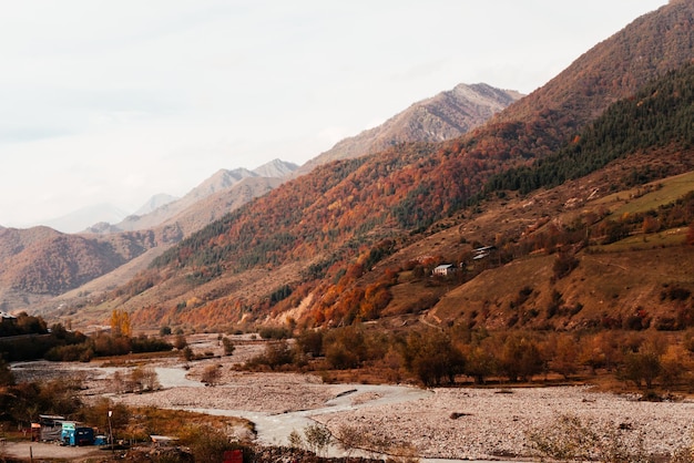 La fascinante naturaleza y el paisaje otoñal, las montañas y las laderas están cubiertas de plantas naranjas.