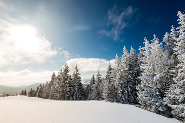 Fascinante paisaje invernal con una pendiente nevada y árboles que crecen contra un cielo azul y nubes blancas en un soleado día de invierno helado