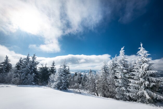 Fascinante paisaje invernal con una pendiente nevada