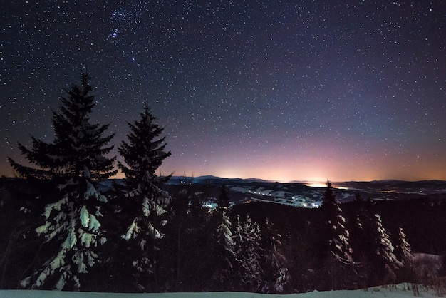 Fascinante paisaje nocturno nevados abetos