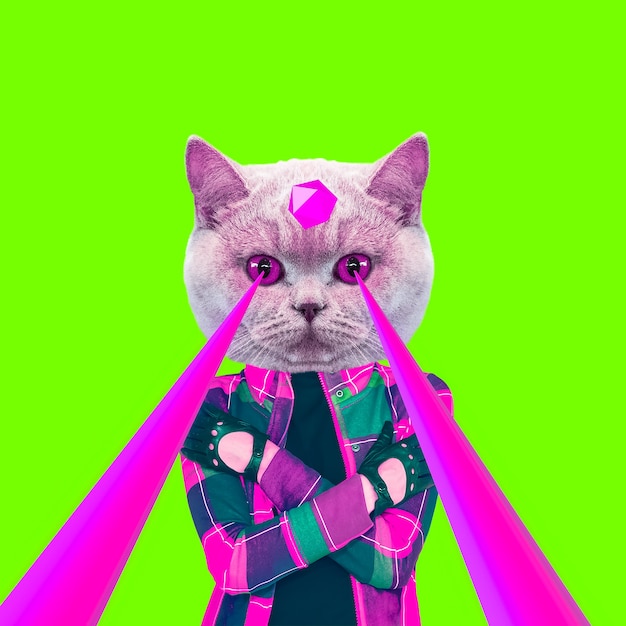 Fashion Hipster Katze mit Lasern aus den Augen. Tierspaß-Collage-Kunst