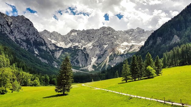 Faszinierende Aufnahme der malerischen Aussicht auf Wald und Berge gegen den Himmel