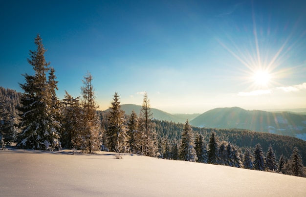 Faszinierende malerische Landschaft des mit Wald bedeckten Abhangs