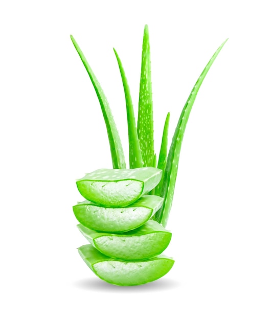 Fatia de Aloe vera fresca isolada no fundo branco. Conceito de produtos de saúde e beleza.