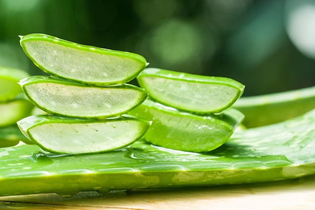 Fatia de aloe vera