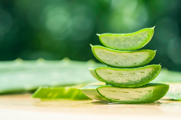 Fatia de aloe vera