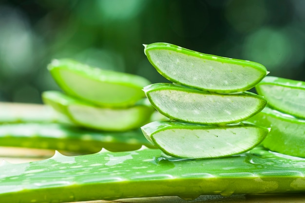 fatia de aloe vera