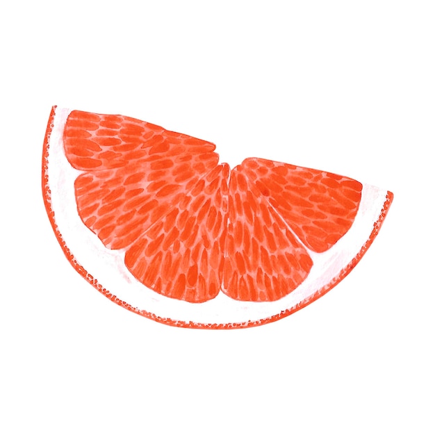 Fatia de aquarela desenhada à mão de laranja isolada no fundo branco Etiqueta de banner de cartão postal Scrapbook