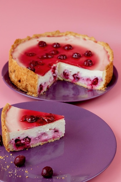 Fatia de cheesecake simples com molho de cranberry na chapa branca decorada com vista de closeup de folha de hortelã