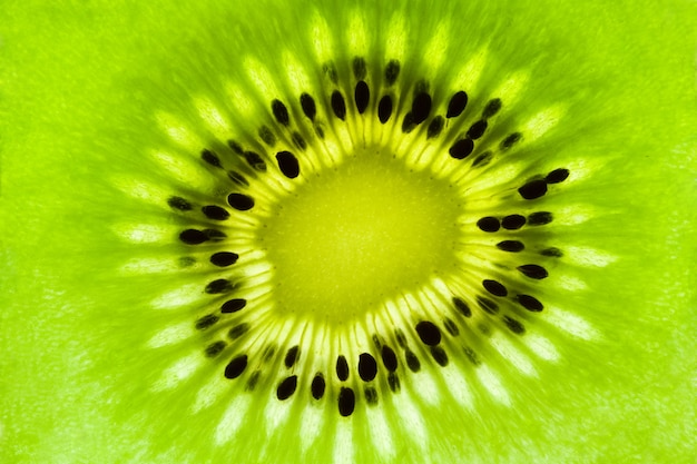 Fatia de kiwi