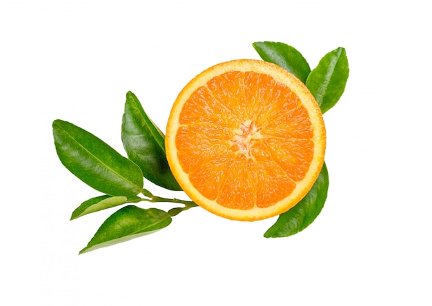 Fatia de laranja fresca com folhas